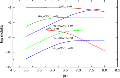 Sorption of zinc on hydrous iron oxides
